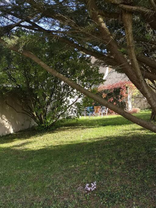 Au Coeur De Mortagne, Un Balcon Sur Le Perche Villa Eksteriør bilde